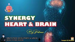 SYNERGY HEART & BRAIN - BY PAKMAN