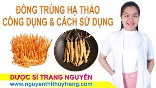 Đông trùng hạ thảo là cây hay con? Tác dụng đông trùng hạ thảo