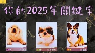 【占卜】2025年你的關鍵字是什麼？哪方面運勢特別的旺？｜雷諾曼卡｜塔羅牌｜EP146｜CC字幕