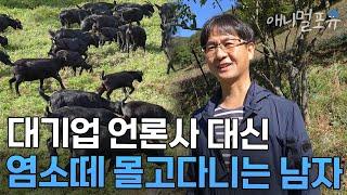 방송국 입사 대신 89세 노모와 쌍둥이 아들, 그리고 염소 450마리를 돌보는 남자 I KBS 생생정보 241013 방송