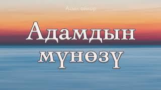 Адамдын мүнөзү