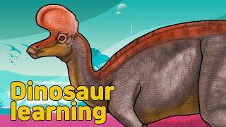 Dinosaur Lambeosaurus Collection | herbivorous dinosaur Lambeosaurus | 공룡 람베오사우루스