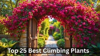 25 BEST Climber Plants To Grow NOW