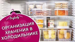 Хранение в холодильнике. Как продлить срок хранения продуктов (прямой эфир)