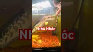  #ĐộcLạ Cá Lóc Bông móm đột biến  #channafish #calocbong #giathuysan @thuysanwork