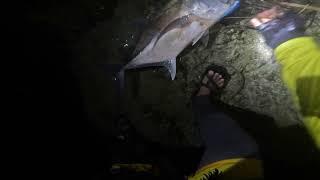 Cliff fishing Day and night casting..