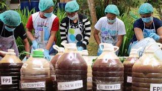 How to Make Organic Concoction and Pesticide | FFJ, FPJ, EMAS, FAA, CALPHOS, TAKAKURA and VERMITEA