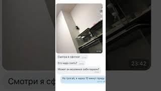 Мем про хомяка