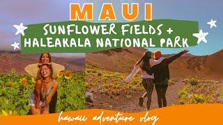 the BEST hike in Haleakala National Park