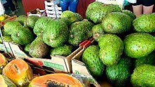 Tropical Fruit stand | Homestead, Florida | Robert Is Here Fruit Stand