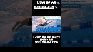 편안한 접영 슬로우 영상 #수영배우기