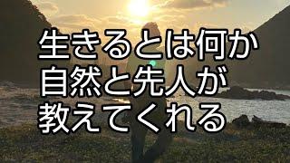 生きるとは何か、自然と先人が教えてくれる