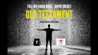 Audio Bible | Gentle Rain | Black Screen - Old Testament 1 of 6