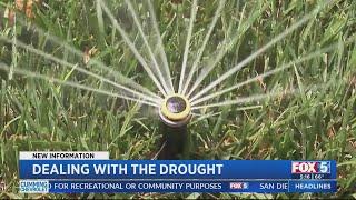 Dealing With The Drought In San Diego County