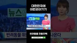 대한민국에 이런곳이?!! 요즘 대세라는 반려동물 전용주택