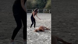 Einfach übers Pony gestolpert  #horse  #pferde #equestrian #horsefail #fun #viral #trend #riding