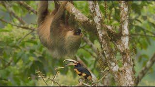 FCAT - Community Based Conservation in the Chocó Rainforests of Ecuador