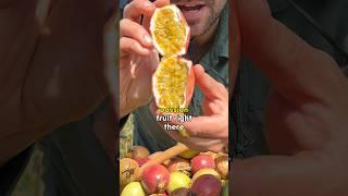 Juicy Passion Fruit Harvest #shorts