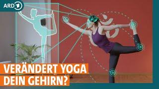 Yoga: So wirken Übungen auf Beweglichkeit, Schmerzen und das Gehirn | ARD GESUND