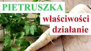 PIETRUSZKA - właściwości i działanie pietruszki