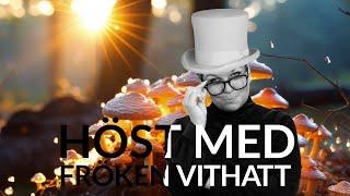 Live - Höst med fröken vithatt 11 september 2024