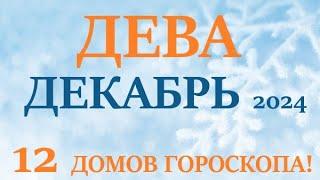 ДЕВА  ДЕКАБРЬ 2024  Прогноз на месяц таро расклад Все знаки зодиака! 12 домов гороскопа!