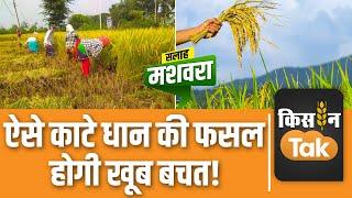 Paddy Farming: धान की फसल को काटने से लेकर बेचने तक किसान अपनाएं ये Tips| Kisan Tak #tipsandtricks