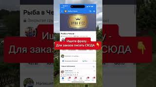 Как нас найти ?
