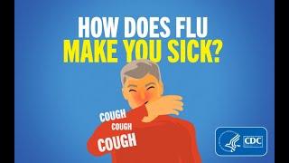 How Does Flu Make You Sick?