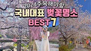 2024년 봄 주목해야할 벚꽃명소 BEST7