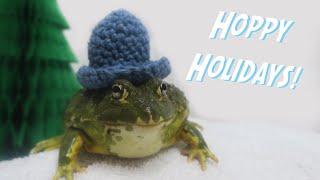 Hopp'in into the Holidays! | Christmas Frog Room Tour!