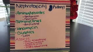 Nephrotoxicity