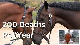 The Horse Race Death Toll