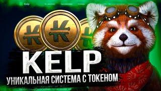 Kelp: уникальная система с токеном, созданная, чтобы ты был богат!