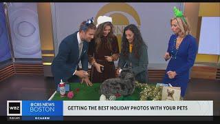 How to get the best holiday photos with your pets