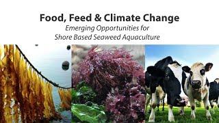 Food, Feed, and Climate Change – Emerging Opportunities for Shore Based Seaweed Aquaculture