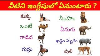 Animals names English & Telugu, 50 different types of animals names English to Telugu.