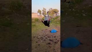 Public reaction flipper khatanak#trending#daliyvlog #daily #flipper #fly #viralvideos #viralshorts