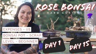 How to make Rose Bonsai from Hard Cutting