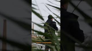 Что Такое Карпфишинг? #shorts #fishing #carpfishing