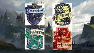 Your Hogwarts Life - See what your life would be in Harry Potter…🪄