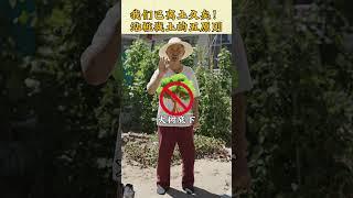 【史楍酼】我们离土已久矣，站桩找土的五原则 #养生 #站桩 #站桩