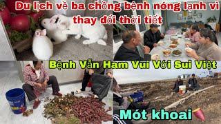 #531Du Lịch về Ba chồng Bệnh Nóng lạnh Vì Thay đổi Thời tiết,vẫn Ham Vui Với Sui Việt mót khoai