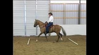 Using Ground Poles and Cones for Gait Training