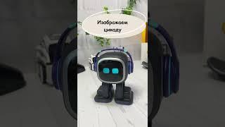  Робот EMO изображает цикаду