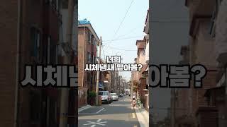 너희 시체냄새 맡아봄?