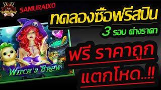 สล็อต slotxo สล็อตแตกง่าย Witch's Brew ซื้อฟรีราคาถูก แตกครึ่งหมื่น