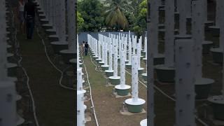 Vertical farming in  #agriculture #verticalfarming #jamaica #plants #peppers #vegetables