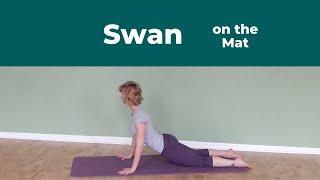 Swan on the Mat ⎮Pilates Encyclopedia