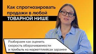 Как спрогнозировать продажи в любой товарной нише? Продвижение на маркетплейсах